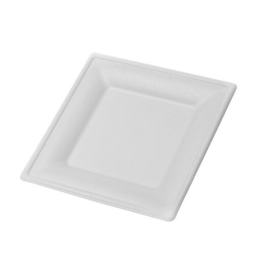 10 Inch Square Heavy Paper Plates